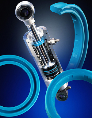 Hydraulic seals